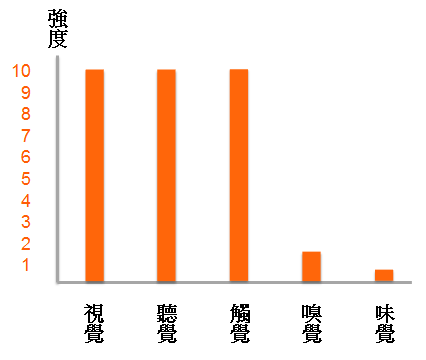 重型機車五感雷達圖