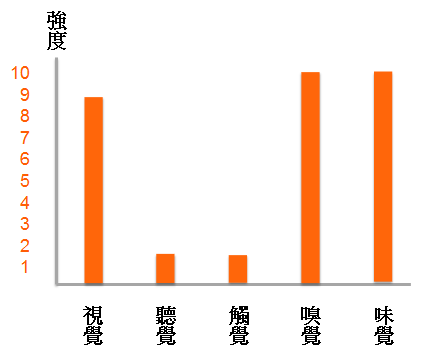 泡麵五感雷達圖